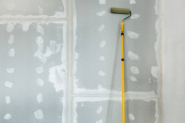 Best Mold Remediation for Rental Properties  in Lawrenceburg, KY