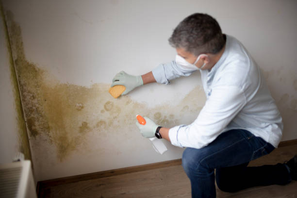 Best Indoor Air Quality Assessment  in Lawrenceburg, KY
