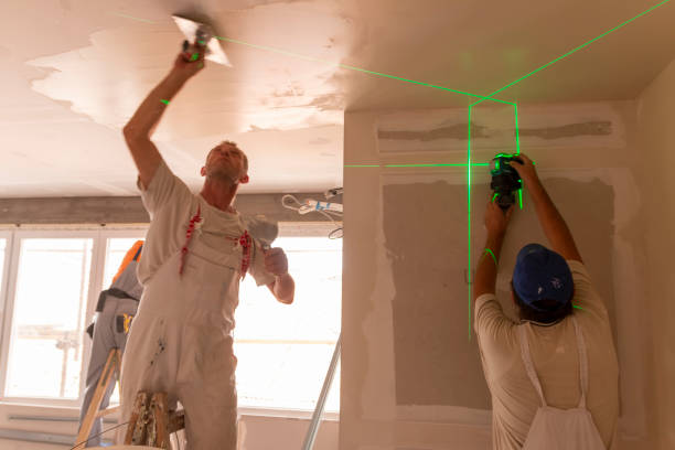 Best Crawl Space Mold Remediation  in Lawrenceburg, KY