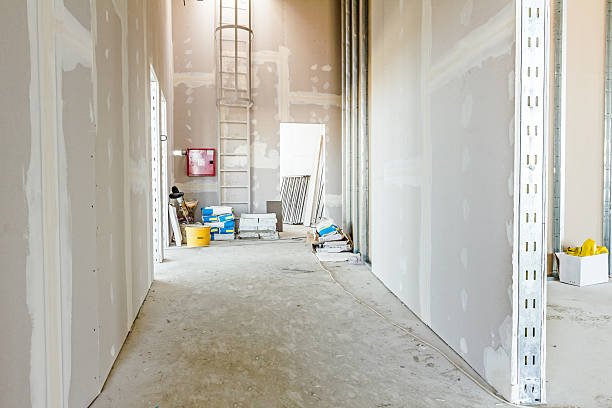 Forensic Mold Investigation in Lawrenceburg, KY