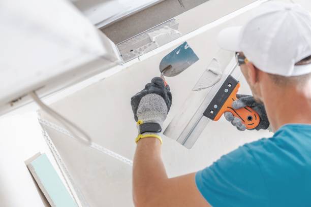 Best Basement Mold Removal  in Lawrenceburg, KY